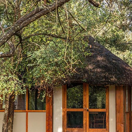 Ndzhaka Tented Camp Manyeleti Doğa Koruma Alanı Dış mekan fotoğraf