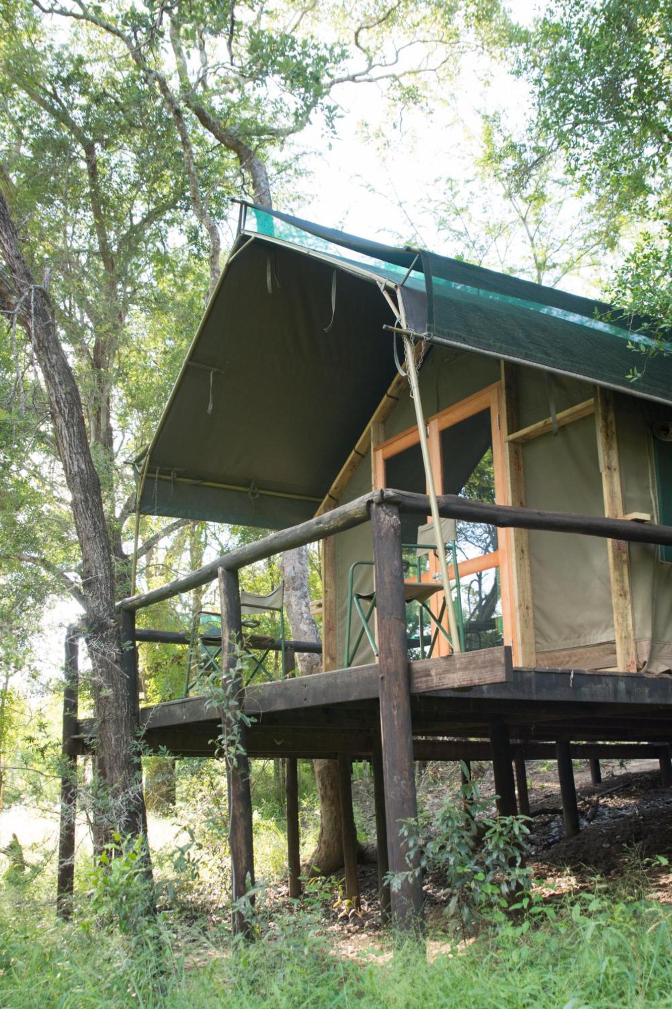 Ndzhaka Tented Camp Manyeleti Doğa Koruma Alanı Oda fotoğraf