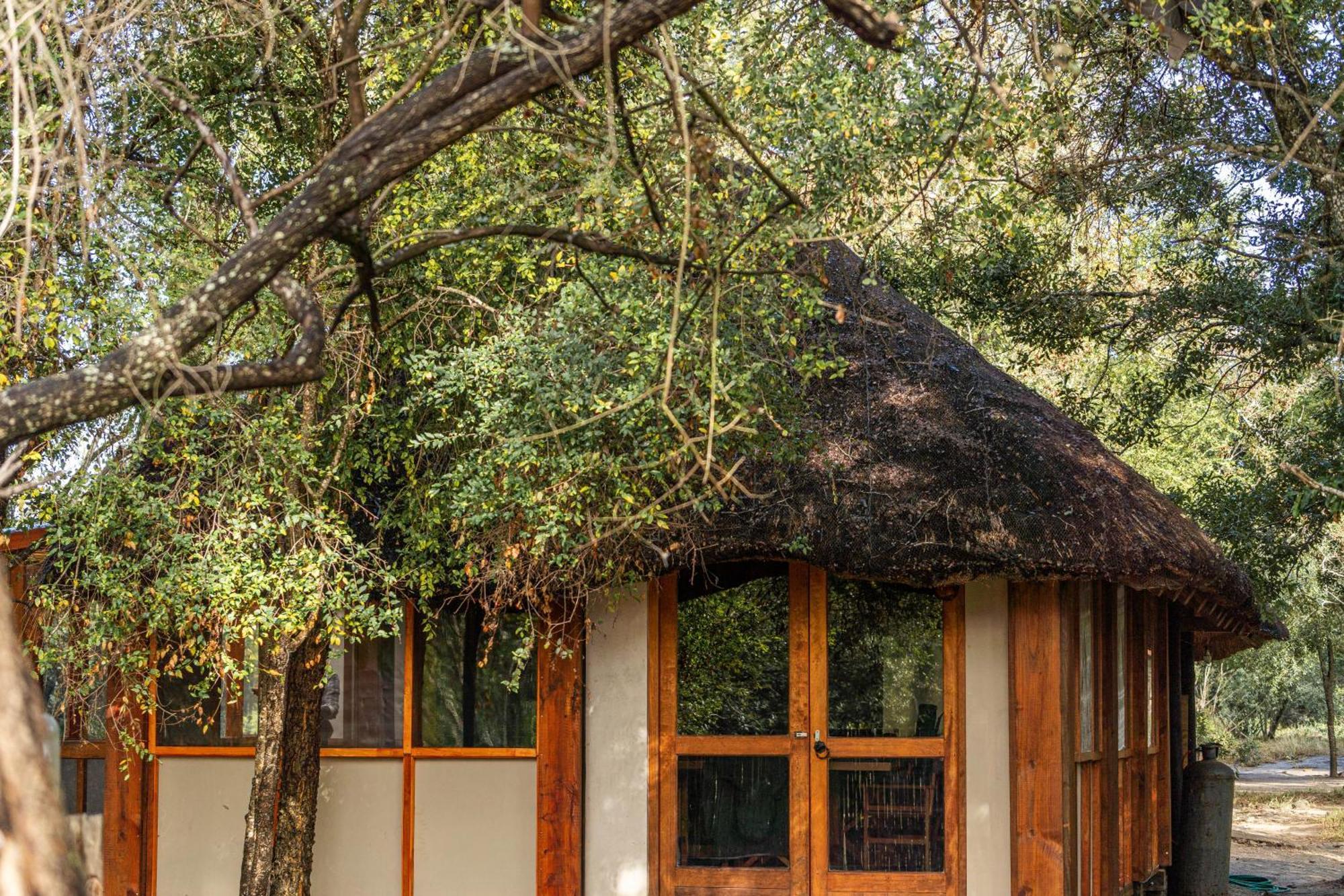 Ndzhaka Tented Camp Manyeleti Doğa Koruma Alanı Dış mekan fotoğraf