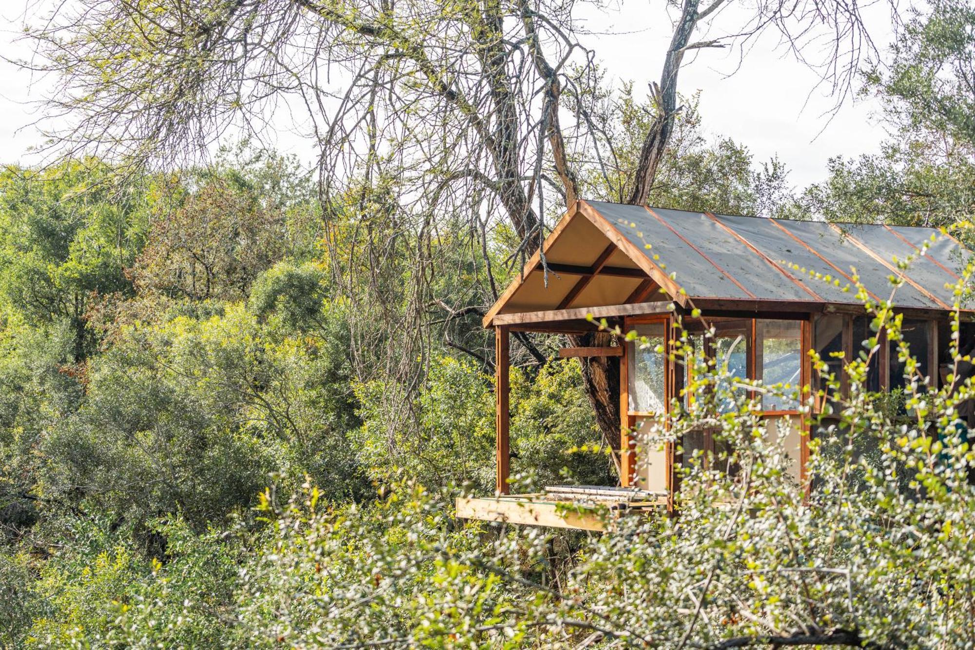 Ndzhaka Tented Camp Manyeleti Doğa Koruma Alanı Dış mekan fotoğraf