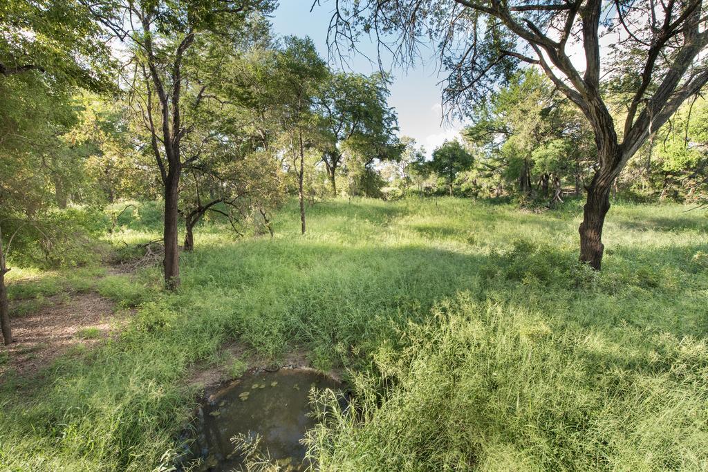 Ndzhaka Tented Camp Manyeleti Doğa Koruma Alanı Dış mekan fotoğraf